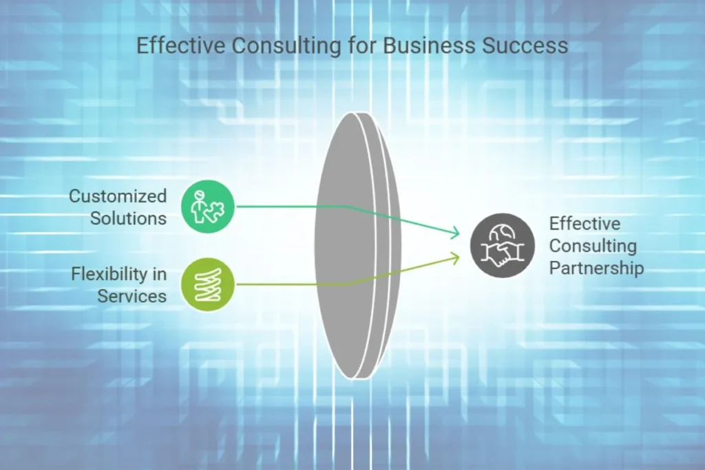 Effective customization for business success