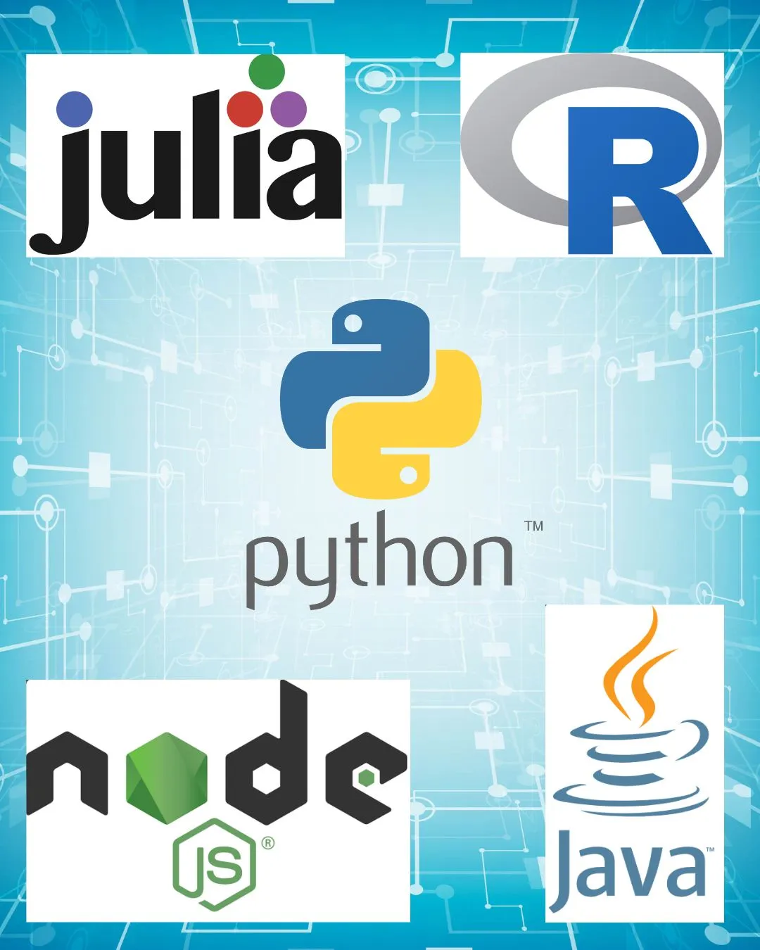 Top 5 Programming Languages for Machine Learning in 2025