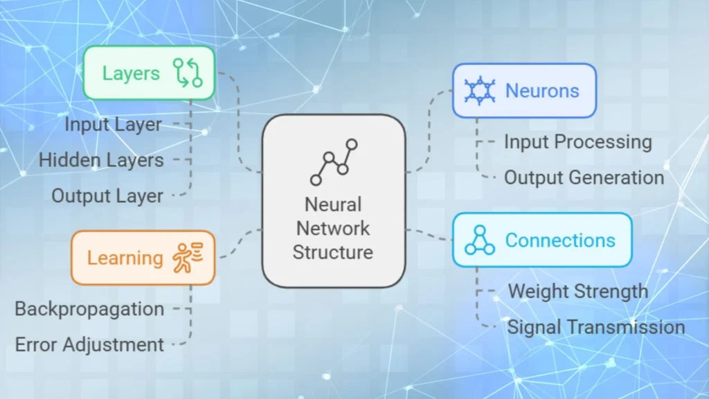 Structure of Neural Network