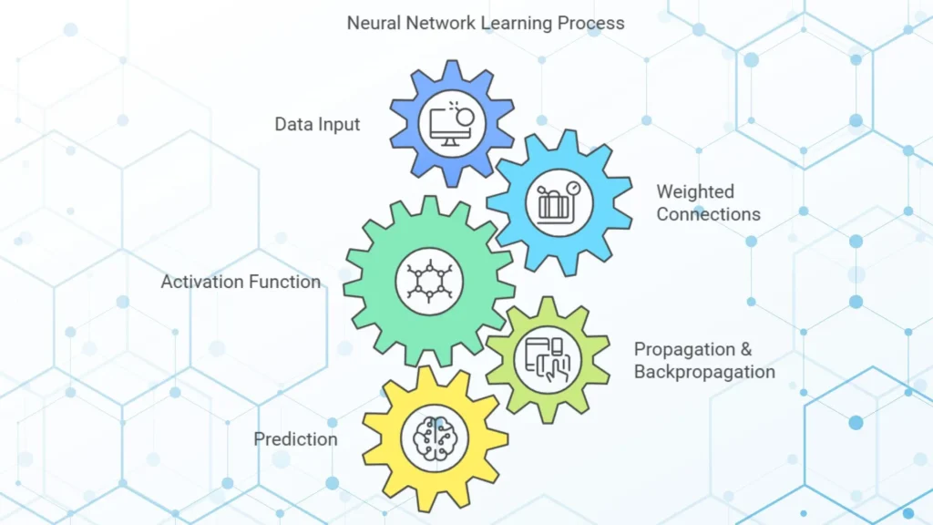 How Neural networks learn
