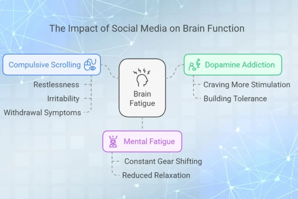 impact of social media on Brain function
